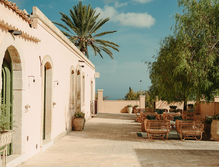 A terrace among the ancient olive trees at Braccialieri Resort
